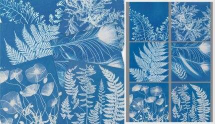 Napkins set, Anna Atkins, Six different napkins, Wabi Sabi, linen napkins, photography,  fabric napkins, 100% linen, PR1151