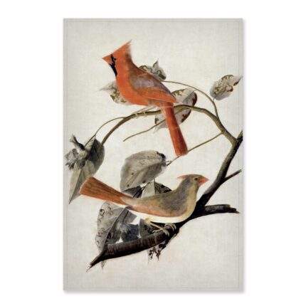 Kitchen towel, linen towel, Cardinal Grosbeak (1811), John James Audubon, dish towel, 100% linen, custom print towel, Autumn towel, PR0309