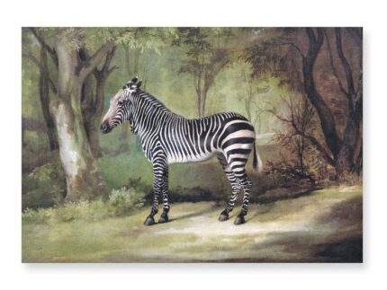 Placemats, Zebra (1763) George Stubbs, 100% linen, PR3354