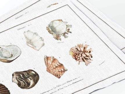 Placemats set, Different Types of Mollusks, Charles Dessalines D' Orbigny, PR3552