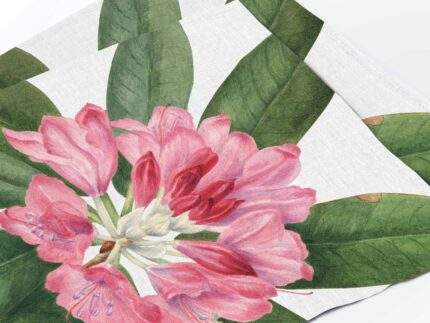 Placemats set, Mountain Rose Bay, Mary Vaux Walcott, PR3627