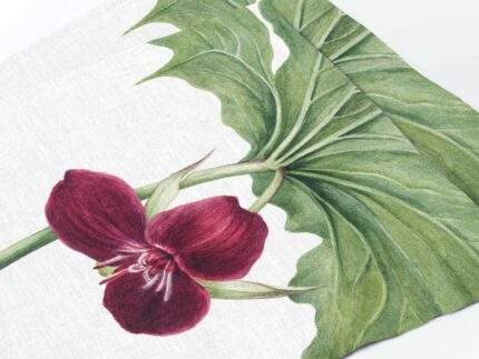 Placemats set, Sweet Trillium, Mary Vaux Walcott, PR3622
