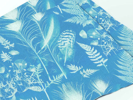 Placemat set, Anna Atkins Botanical Cyanotype Prints, 100% linen, PR4127