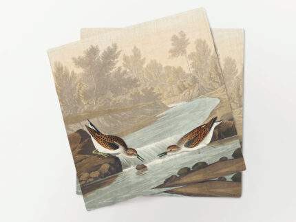 Napkin set, Little Sandpiper from Birds of America (1827) by John James Audubon, 100% linen, PR4163